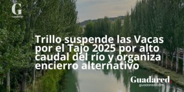 Trillo suspende las Vacas por el Tajo 2025 por alto caudal del río y organiza encierro alternativo
