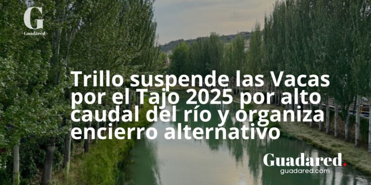 Trillo suspende las Vacas por el Tajo 2025 por alto caudal del río y organiza encierro alternativo