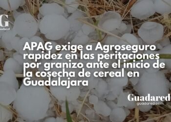 APAG exige a Agroseguro rapidez en las peritaciones por granizo ante el inicio de la cosecha de cereal en Guadalajara