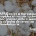 APAG exige a Agroseguro rapidez en las peritaciones por granizo ante el inicio de la cosecha de cereal en Guadalajara