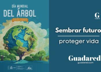Día Mundial del Árbol 2025: importancia de los árboles en el medio ambiente y la conservación