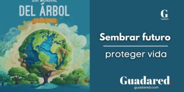 Día Mundial del Árbol 2025: importancia de los árboles en el medio ambiente y la conservación