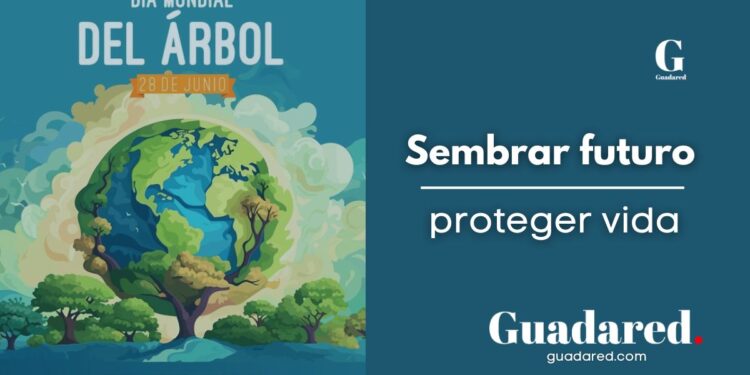 Día Mundial del Árbol 2025: importancia de los árboles en el medio ambiente y la conservación