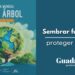 Día Mundial del Árbol 2025: importancia de los árboles en el medio ambiente y la conservación