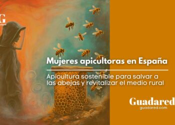 Mujeres apicultoras en España: apicultura sostenible para salvar a las abejas y revitalizar el medio rural
