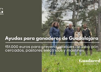 Ayudas para ganaderos de Guadalajara: 151.000 euros para prevenir ataques de lobo con cercados, pastores eléctricos y mastines