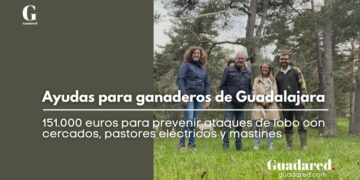 Ayudas para ganaderos de Guadalajara: 151.000 euros para prevenir ataques de lobo con cercados, pastores eléctricos y mastines
