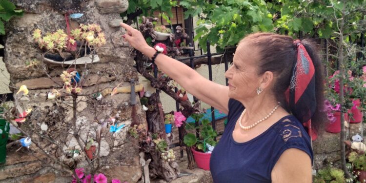 Ganadoras del IV Certamen de Fachadas Florales en Cogolludo: color, tradición y turismo