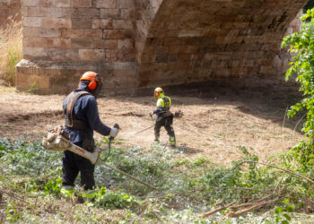 Guadalajara inicia la limpieza de la ribera del Henares para retirar hasta 250 toneladas de residuos vegetales