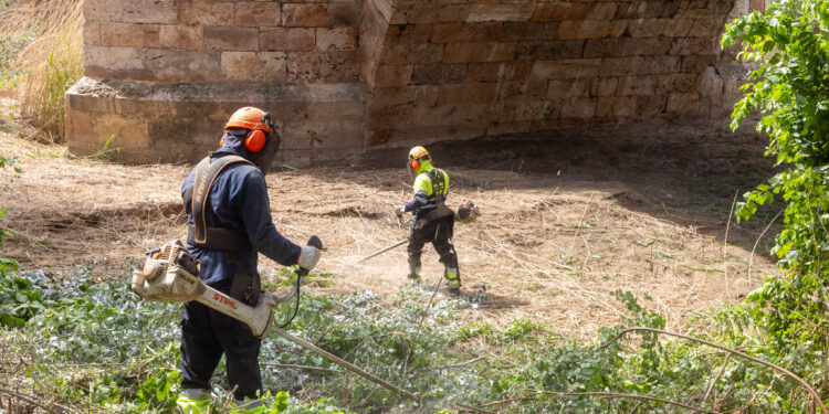 Guadalajara inicia la limpieza de la ribera del Henares para retirar hasta 250 toneladas de residuos vegetales