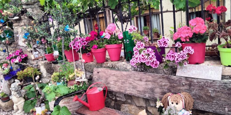 Ganadoras del IV Certamen de Fachadas Florales en Cogolludo: color, tradición y turismo