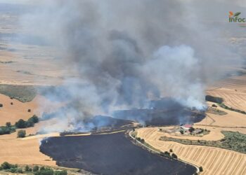 Incendio forestal en Valdepiélagos: Plan INFOCAM despliega medios en Guadalajara para apoyar la extinción