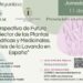 Jornada Técnica sobre Plantas Aromáticas y Medicinales: El futuro del sector y la crisis de la lavanda en España