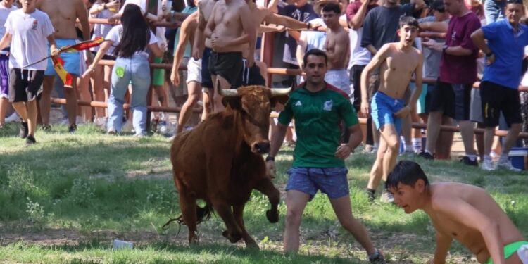 Galería de Fotos Vacas al Henares 2025