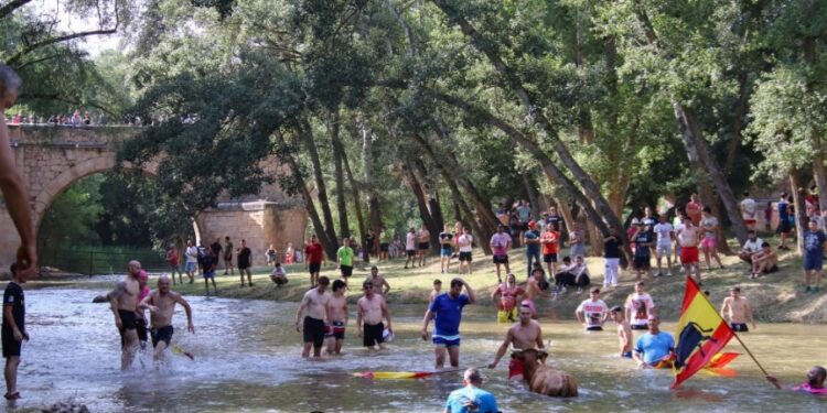 Galería de Fotos Vacas al Henares 2025