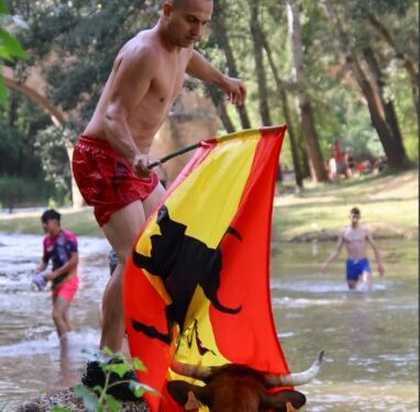 Espinosa de Henares celebra “Vacas al Henares 2025”: Fotos y momentos captados por A. Castellot