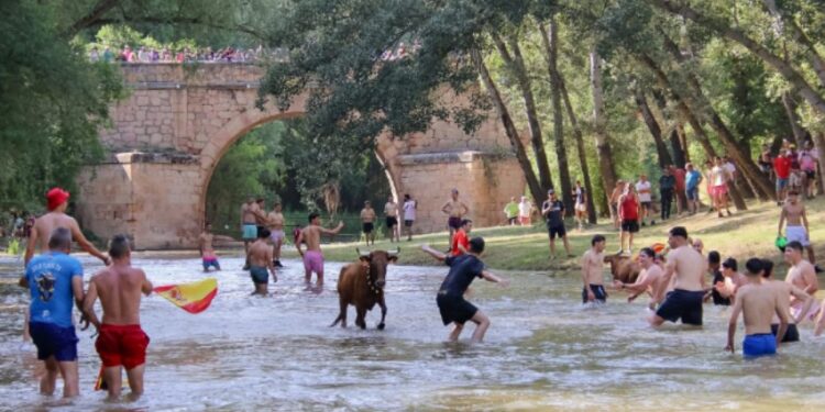Espinosa de Henares celebra “Vacas al Henares 2025”: Fotos y momentos captados por A. Castellot