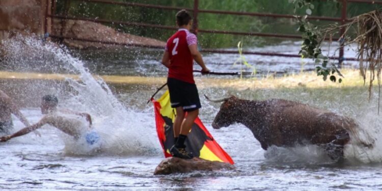 Espinosa de Henares celebra “Vacas al Henares 2025”: Fotos y momentos captados por A. Castellot