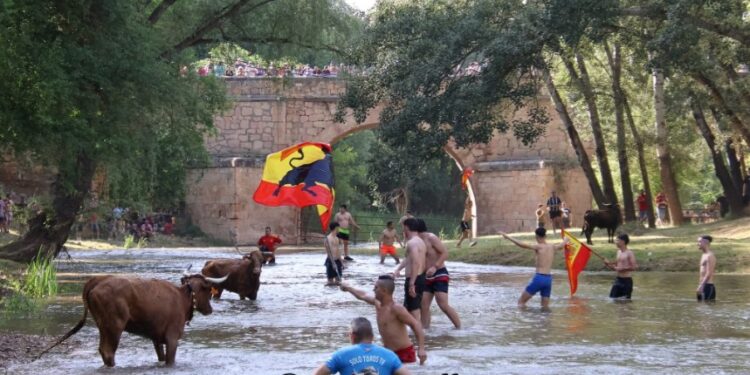 Espinosa de Henares celebra “Vacas al Henares 2025”: Fotos y momentos captados por A. Castellot