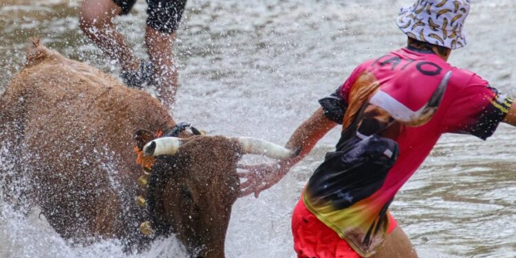 Espinosa de Henares celebra “Vacas al Henares 2025”: Fotos y momentos captados por A. Castellot