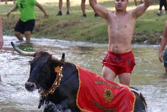 Galería de Fotos Vacas al Henares 2025