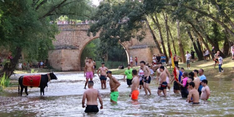 Espinosa de Henares celebra “Vacas al Henares 2025”: Fotos y momentos captados por A. Castellot