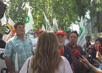 Los Agricultores reclaman control de importaciones de cereal tras fin del régimen especial con Ucrania