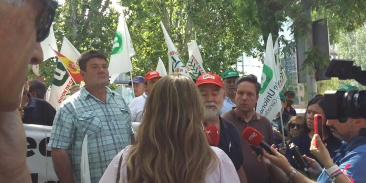 Los Agricultores reclaman control de importaciones de cereal tras fin del régimen especial con Ucrania