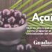 Açaí: qué es, para qué sirve y cómo preparar el bowl antioxidante del verano