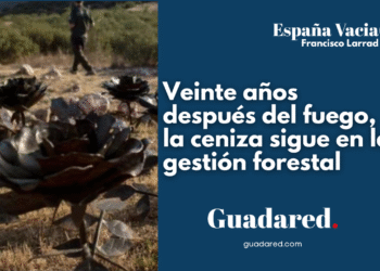 Veinte años después del fuego, la ceniza sigue en la gestión forestal
