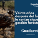 Veinte años después del fuego, la ceniza sigue en la gestión forestal
