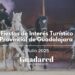 Fiestas de Interes Turistico Provincial de Guadalajara 2025