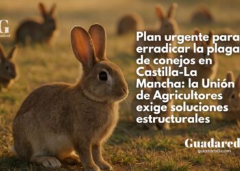 Castilla-La Mancha clama por la erradicación de la plaga de conejos: la Unión de Agricultores exige soluciones estructurales