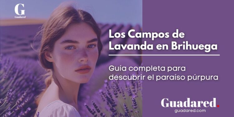 Brihuega y sus Campos de Lavanda: Todo lo que Necesitas Saber para tu Escapada
