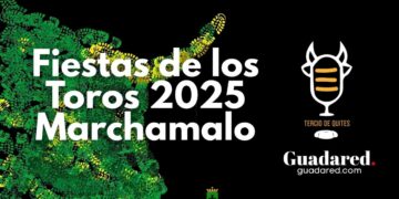 Marchamalo celebra del 20 al 24 de agosto sus Fiestas de los Toros 2025 con encierros, novillada picada y eventos taurinos para todos los públicos.