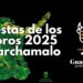 Marchamalo celebra del 20 al 24 de agosto sus Fiestas de los Toros 2025 con encierros, novillada picada y eventos taurinos para todos los públicos.
