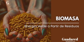 Biomasa: qué es, tipos, ventajas y cómo se transforma en energía renovable