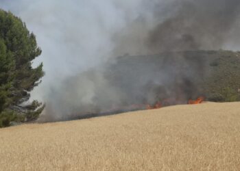 Incendio de vegetación en el poligono casasola