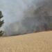 Incendio de vegetación en el poligono casasola
