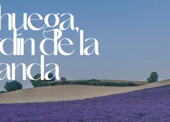 Festival de la Lavanda 2025 en Brihuega: Conciertos, floración y visita a los campos de lavanda