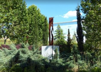 Salvar árboles en el Bosque Urbano de Guadalajara: la llamada de Circinaria a la acción ciudadana