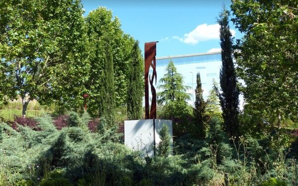 Salvar árboles en el Bosque Urbano de Guadalajara: la llamada de Circinaria a la acción ciudadana