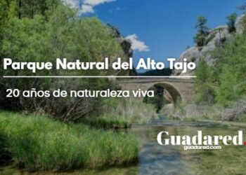 Parque Natural del Alto Tajo: 20 años de naturaleza viva
