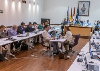 Homenaje a víctimas de violencia de género y aprobación de medidas económicas en el Pleno de Guadalajara julio 2025