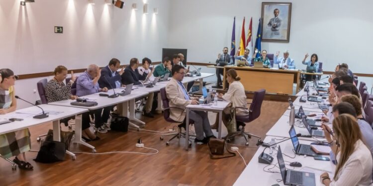 Homenaje a víctimas de violencia de género y aprobación de medidas económicas en el Pleno de Guadalajara julio 2025