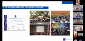 La Alcarria Literaria impulsa la calidad turística con el SICTED en Brihuega, Cifuentes y Torija