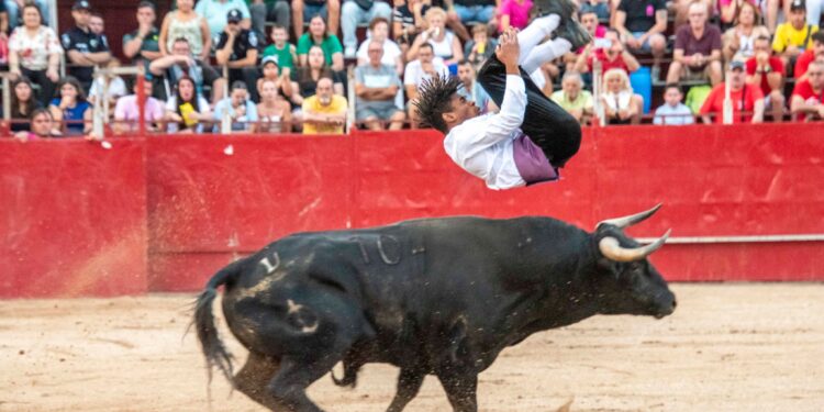 Fiestas de Agosto de Marchamalo 2025: música, encierros y celebraciones multitudinarias