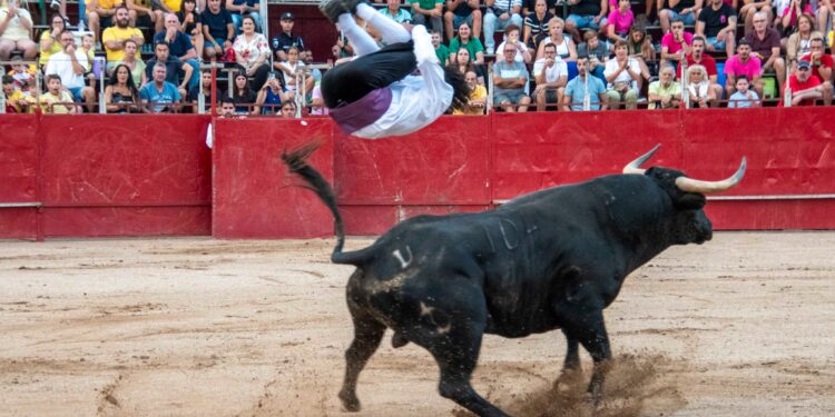 Fiestas de Agosto de Marchamalo 2025: música, encierros y celebraciones multitudinarias