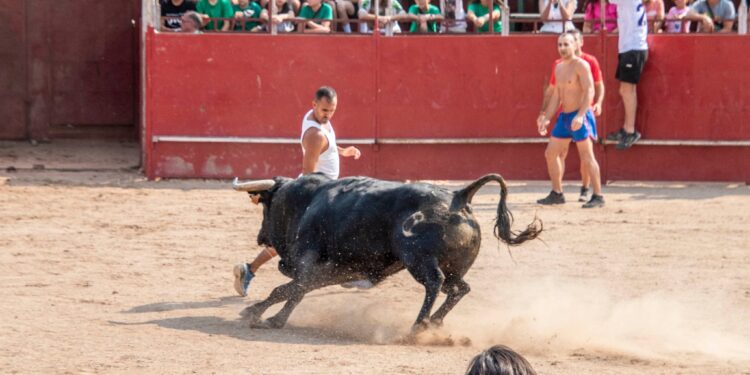 Fiestas de Agosto de Marchamalo 2025: música, encierros y celebraciones multitudinarias