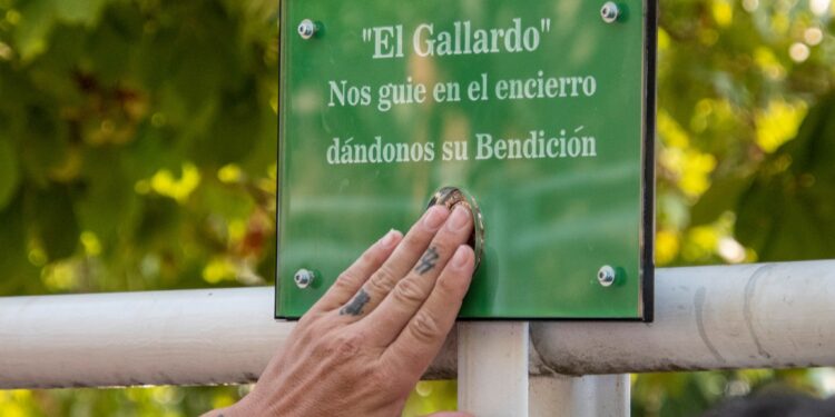 Primer encierro en honor al Gallardo